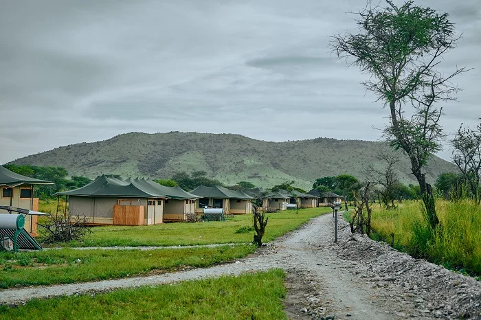 3 days in Africa for big 5 safari to Serengeti and Ngorongoro Crater 3 days in Africa for big 5 safari to Serengeti and Ngorongoro Crater