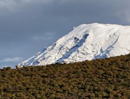 Best Kilimanjaro guides