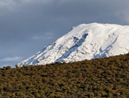 Marangu route hiking Kilimanjaro 6 days | Kenya Natural Tours, Marangu best route,climbing route cost,Marangu route Kilimanjaro