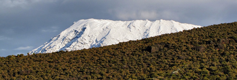 Marangu route hiking Kilimanjaro 6 days | Kenya Natural Tours, Marangu best route,climbing route cost,Marangu route Kilimanjaro