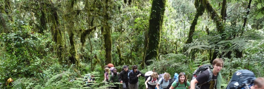 Kilimanjaro hiking tours on the Marangu route 5 days, 4 nights, and 6 days, 5 nights