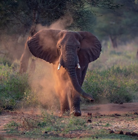 March 2026: Kenya Safari Adventure Group Joining Scheduled Departure Dates & Prices