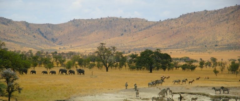 May 2026: Kenya Safari Trips Group Joining Scheduled Departure Dates & Prices