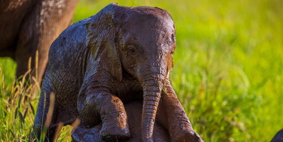 May 2026: Kenya Safari Group Joining Scheduled Departure Dates & Price Costs