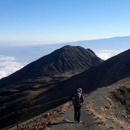 1 day Mount Meru hiking from Arusha or Moshi in 2024, 2025, and 2026