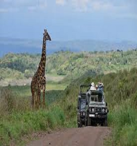 Ngorongoro crater day trip