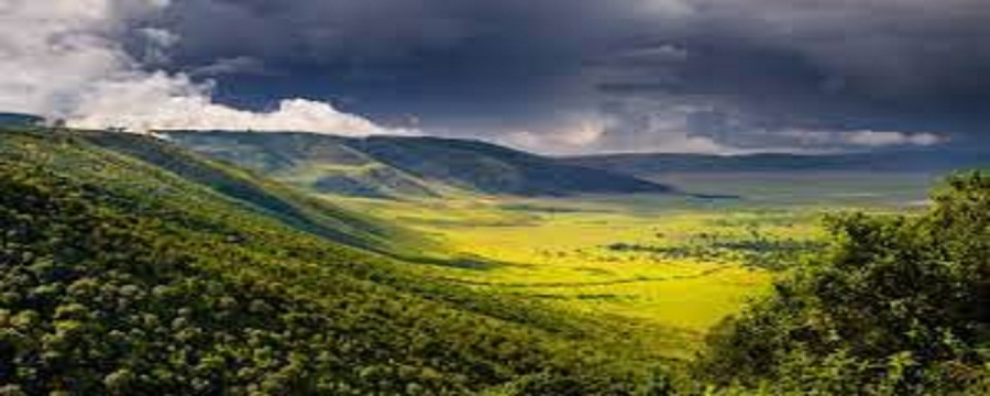 Ngorongoro crater day trip from arusha