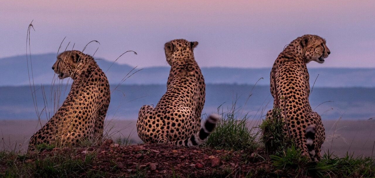 October 2025: Kenya Safari trip Holiday Group Joining Scheduled Departure Dates & Prices