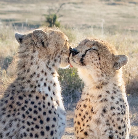 October 2025: Kenya Safari Adventure Group Joining Scheduled Departure Dates & Prices