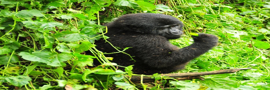 2 days MBURO lake