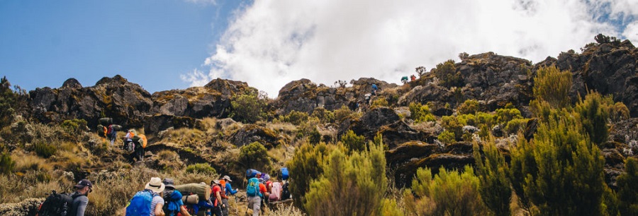 Kilimanjaro climbing groups on Rongai route 6 and 7 days