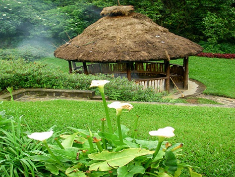 Best Rwanda Tours