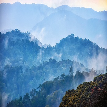 Best Rwanda Tours