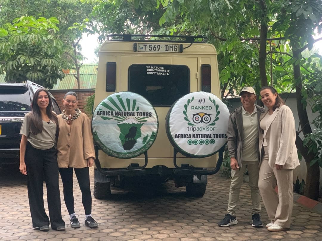 Africa Tours