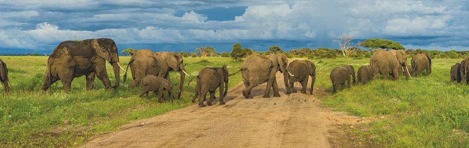 7 days 6 nights Serengeti safari itinerary