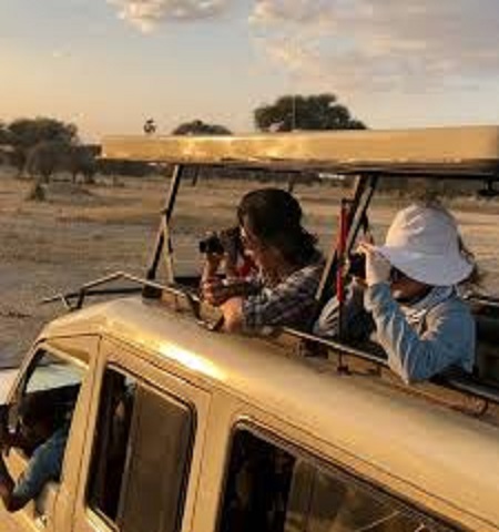 Tarangire National Park Safari from Moshi Tarangire Safari from Moshi