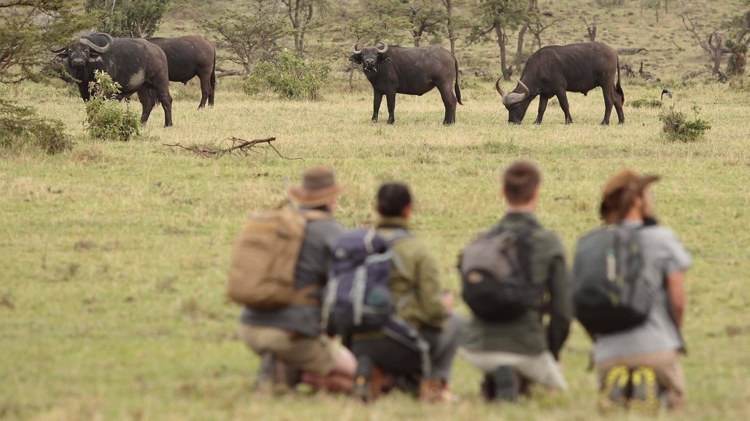 Best Tanzania Lodge Safari Activities