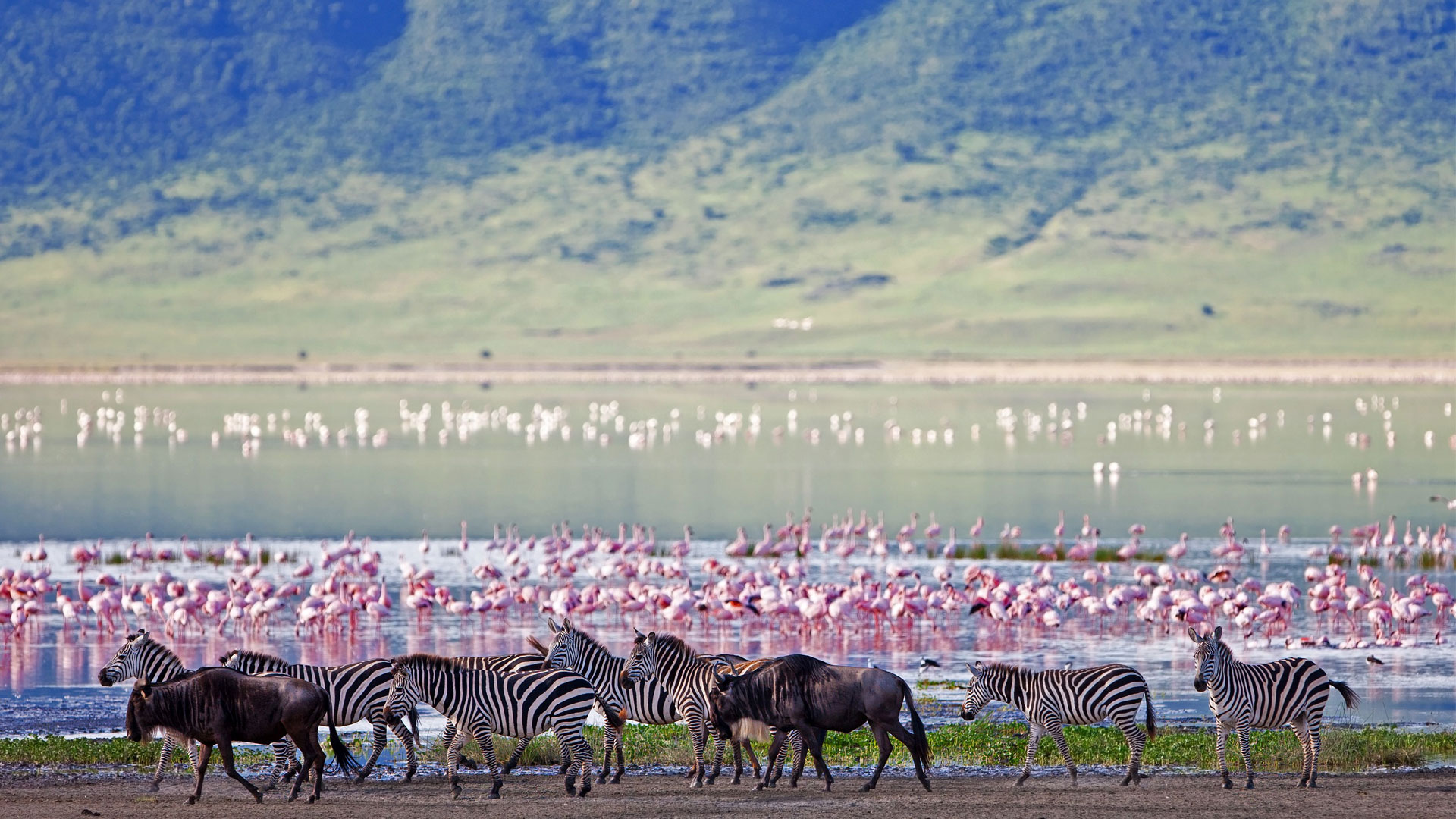 Best Tanzania Lodge Safari Safety