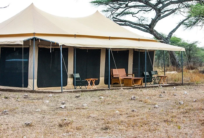 All Top-Best Serengeti Safari Lodges and Camps: Complete Travel Guide (Updated 2026–2027) All Top-Best Serengeti Safari Lodges and Camps: Complete Travel Guide (Updated 2026–2027)