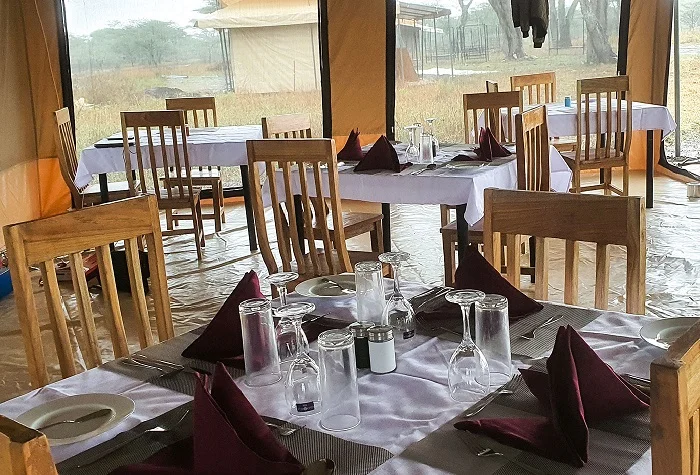 Best Serengeti safari holiday package to Tarangire, Serengeti National Park, Ngorongoro, Kilimanjaro, and Zanzibar for 2 weekss Best Serengeti safari holiday package to Tarangire, Serengeti National Park, Ngorongoro, Kilimanjaro, and Zanzibar for 2 weeks