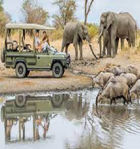 Tanzania safari for 2 days from Moshi to lake Natron and Tarangire national park