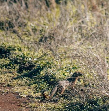 Best Tours & Safaris in Karatu - Tanzania Safari Tours from Karatu 2025/2026 