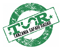 How many tour companies are there in Tanzania?