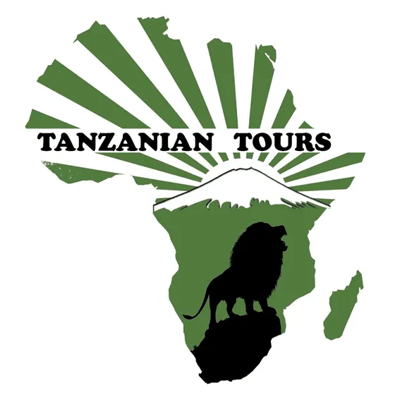 Tanzanian Tours logo