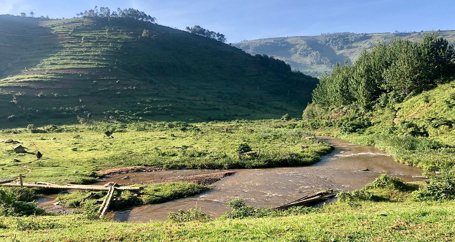 Today's Our Latest Updates on Gorilla Trekking in 2025-2026: Our Best Things to Do in Uganda 2025-2026  
