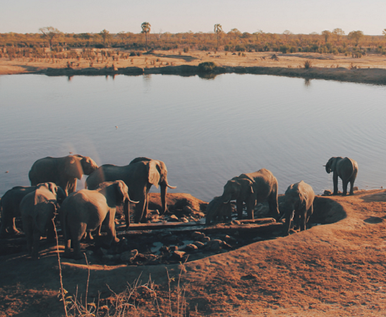 The best 2 days Tanzania lodge safari