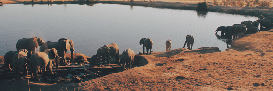 Tarangire, Ngorongoro, and Lake Eyasi 