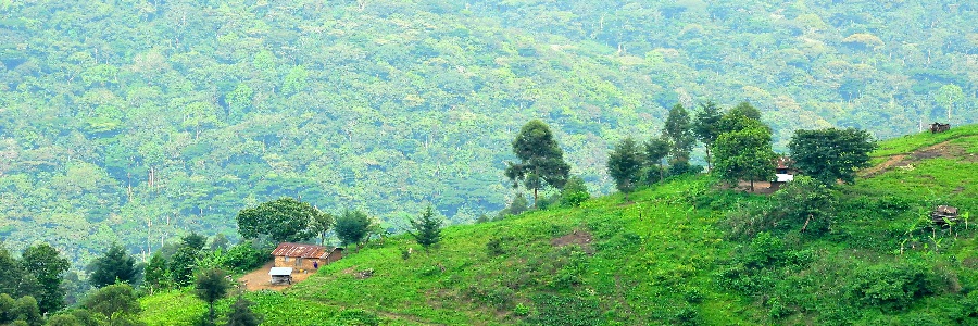 Tradictional-karamoja/village-experiences