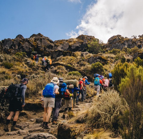 Umbwe route| 7 days Kilimanjaro Climbing operators 2022-2023, Africa Natural Tours Review Kilimanjaro umbwe route success rate