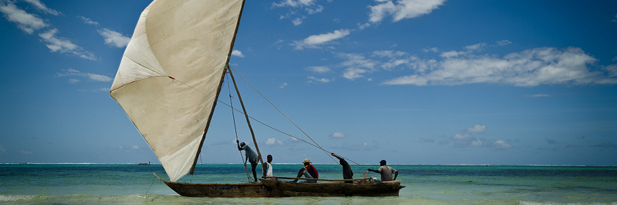 city tour Zanzibar stone tour walking,zanzibar safari packages,zanzibar Tanzania Trip zanzibar hotels cost ,Africa Natural Tours Zanzibar 