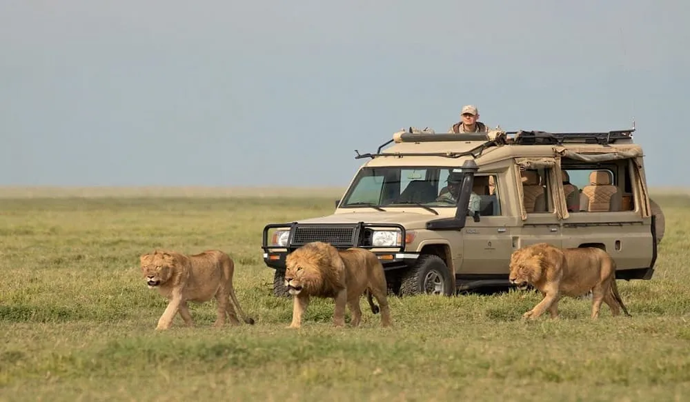 Tanzania Natural Tours - Tanzania locally guided tours