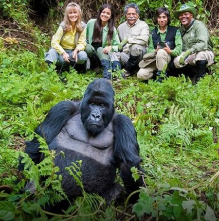 13 Days Ultimate Gorilla