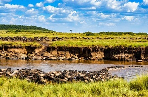 Great Serengeti migration