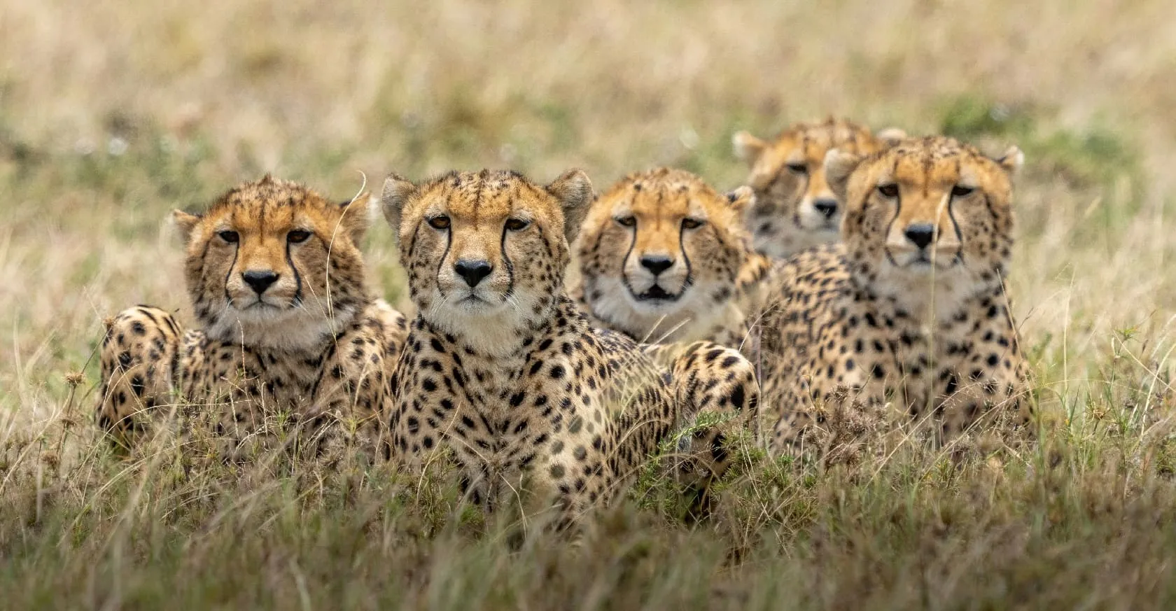 Tanzania Romantic Safari in Ngorongoro Crater