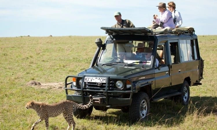 African Safari Guides in the Parks