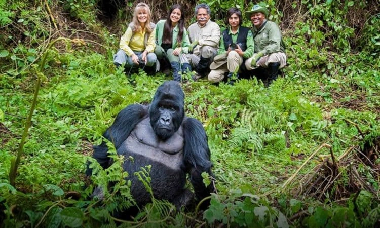 Rwanda and Uganda Gorilla Trekking Operation Staff